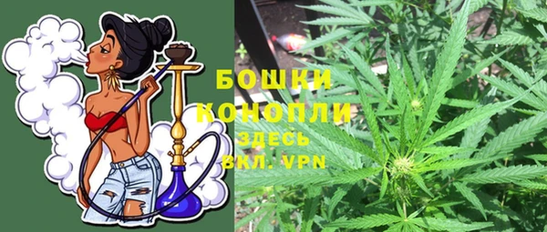 mdpv Гусев